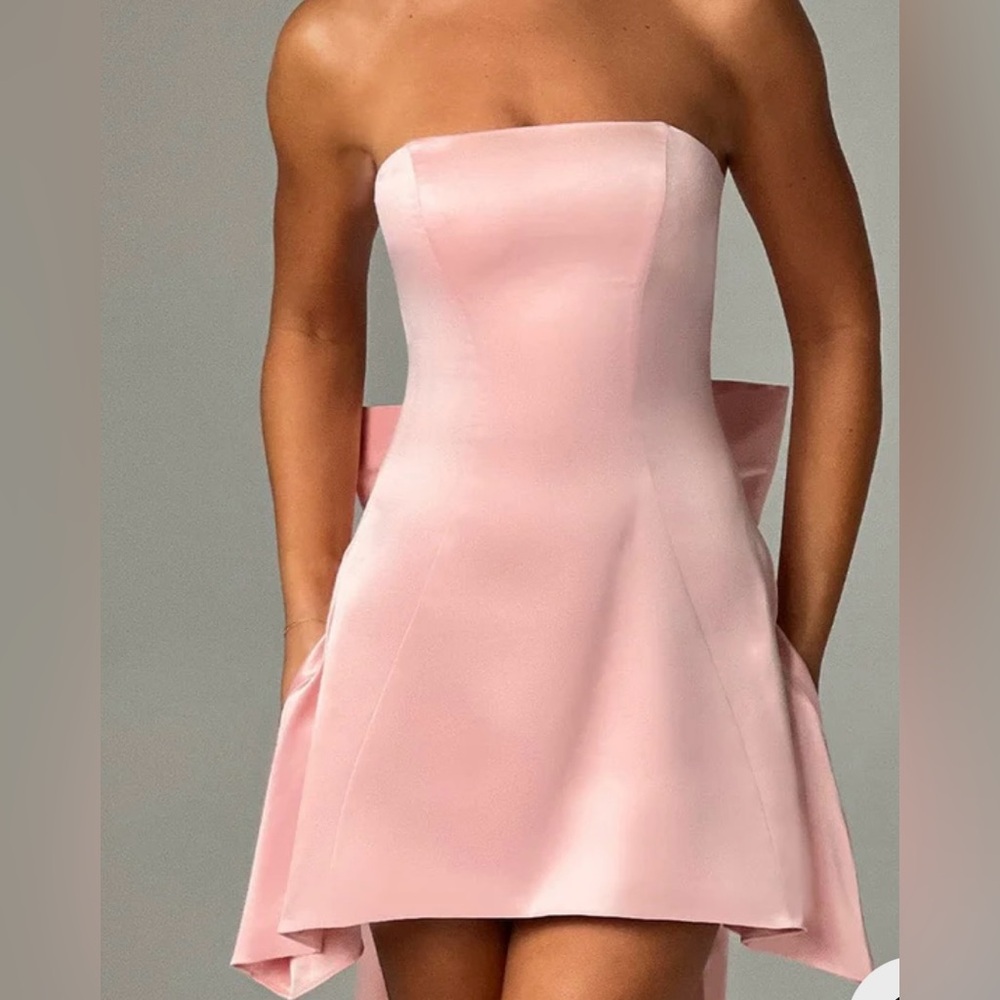 Elegant Pink Freja Mini Dress - Blush